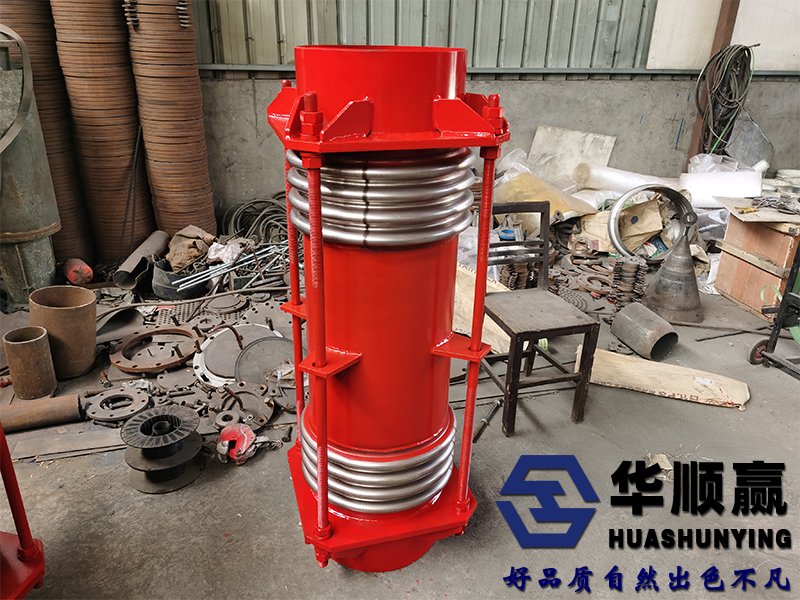 橫向（xiàng）補償器細節
