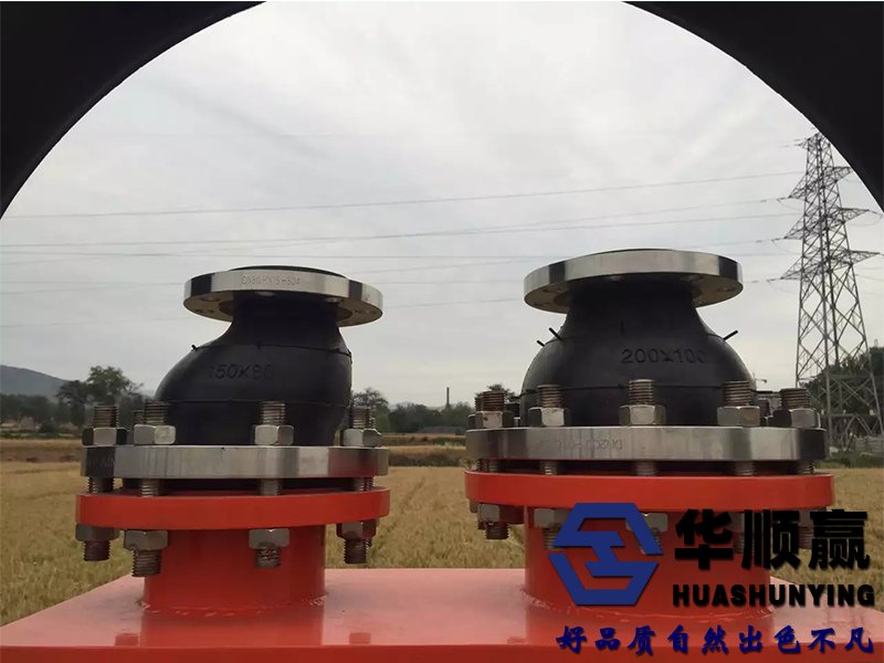 偏心異徑橡膠接（jiē）頭現場圖